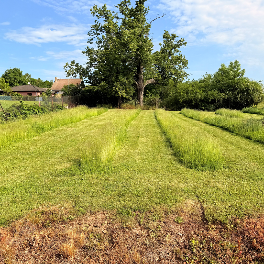 Ryor a udržitelnost