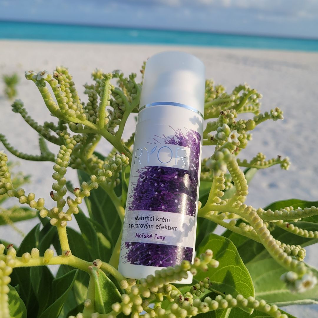 Zmatňujúci krém s pudrovým efektom - galéria #3