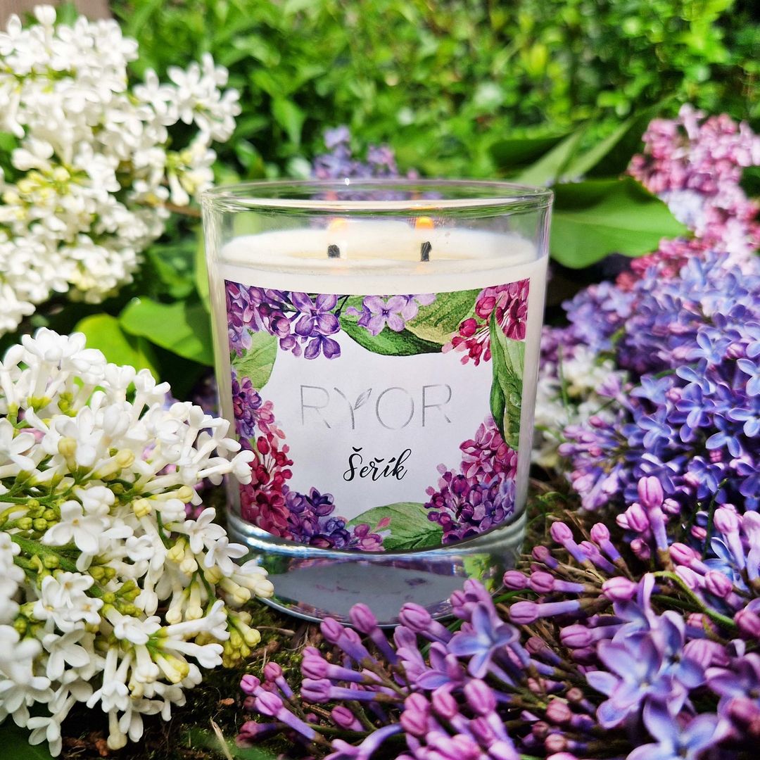 Sviečka veľká - Orgován - galéria #1