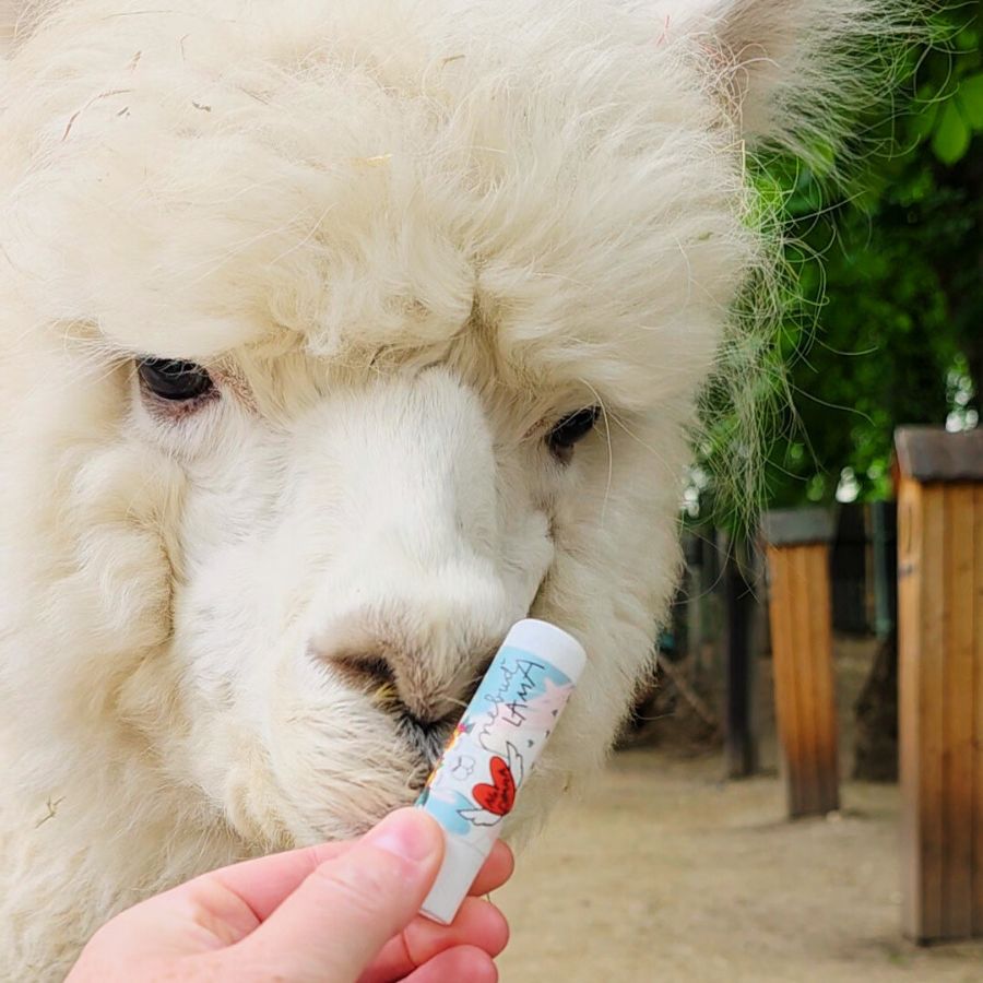 Balzam na pery s ryžovým olejom a japonskou čerešňou Lama - galéria #1