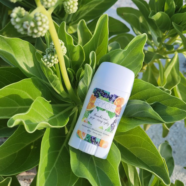 Deodorant s 48hodinovým účinkem grep - černý rybíz