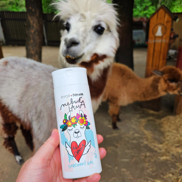 PuraVida Sprchový gel 3v1 Citrus Spirit Lama